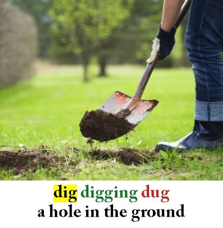 Dig